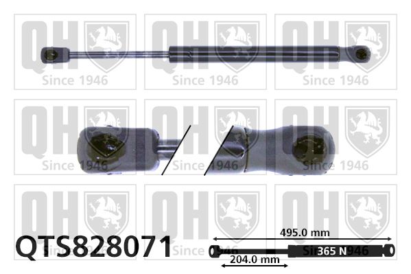 QUINTON HAZELL Газовая пружина, крышка багажник QTS828071